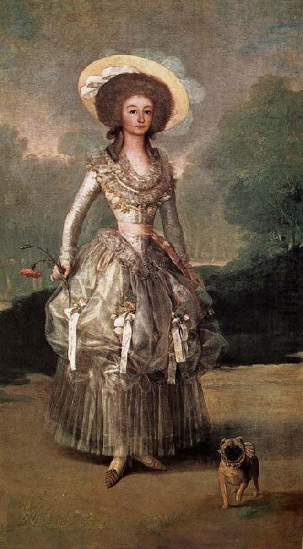 Francisco Goya Marquise of Pontejos china oil painting image